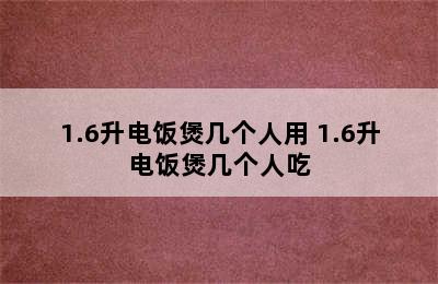 1.6升电饭煲几个人用 1.6升电饭煲几个人吃